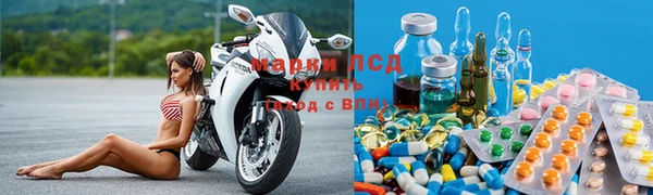 индика Алзамай
