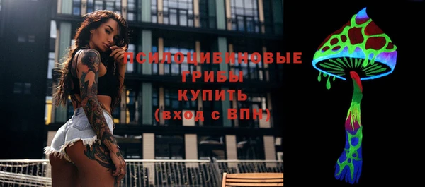 индика Алзамай