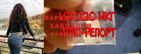 индика Абинск