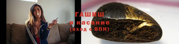 индика Алзамай