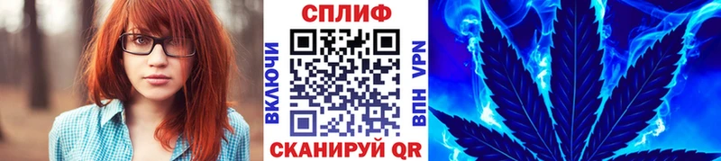 Бошки марихуана MAZAR  Вологда 